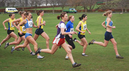 Start of Women's race